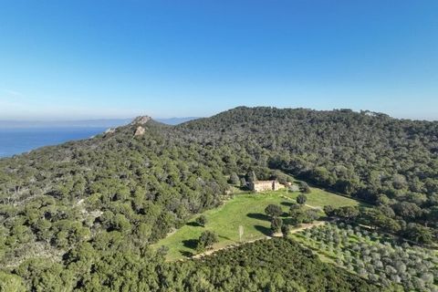 Ferme Notre Dame, nestled on the island of Porquerolles, reveals its natural beauty and timeless tranquility. Built in 1856, this historic property extends over 13 hectares, offering a wild and peaceful haven. With 5 hectares dedicated to viticulture...