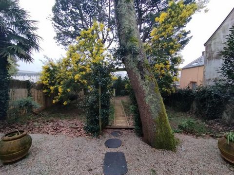 photo no. 16