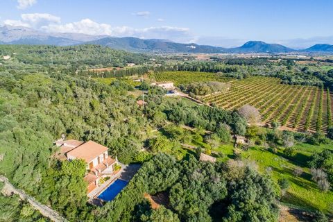 Welcome to our charming rural vacation finca in Mallorca Buger, the perfect destination for those looking for a quiet getaway in the middle of nature. Perfectly equipped for 6 people with swimming pool and panoramic views, perfectly located, in a qui...