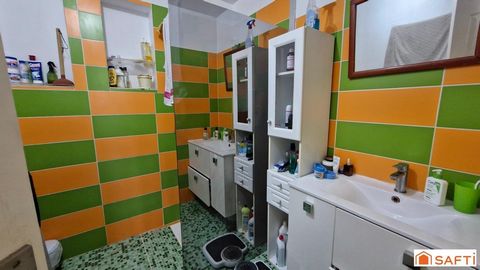 photo no. 7