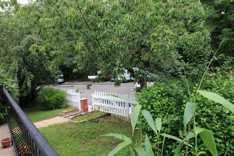 photo no. 12