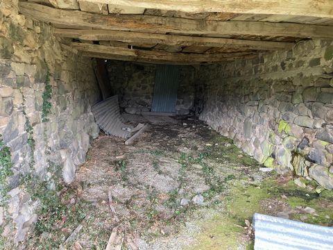 photo no. 6