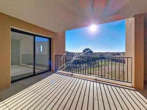 Appartement T3 62 m² terrasse et parking