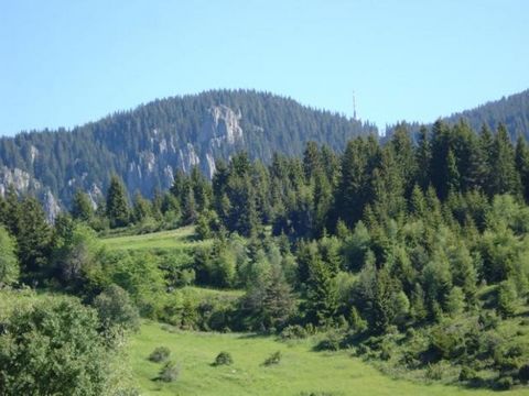 TEL: ... ;0301 69999/WIR BIETEN IHNEN ZUM VERKAUF GRUNDSTÜCK IN SMOLYAN SQ.E. STRAßE, STROM, WASSER. FLACHES GELÄNDE, PANORAMA. PREIS 68600E. KOMMENTAR. TEL ...