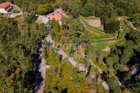 Property ID: ZMPT552160 Rustic land with 778m2, located in Gatão, in the North of Portugal, near the Tâmega River and snuggled by the mountains of Marão and Aboboreira, there is a region where history and culture abound. Here is Amarante, holder of a...