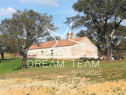 We presenteren deze berg gelegen aan de kust van Alentejo, in het gebied van Santiago do Cacém, meer bepaald in São Bartolomeu da Serra. Het pand heeft een gemengd kadaster met een registratie van 28,8 Ha en een stedelijk kadaster met een registratie...