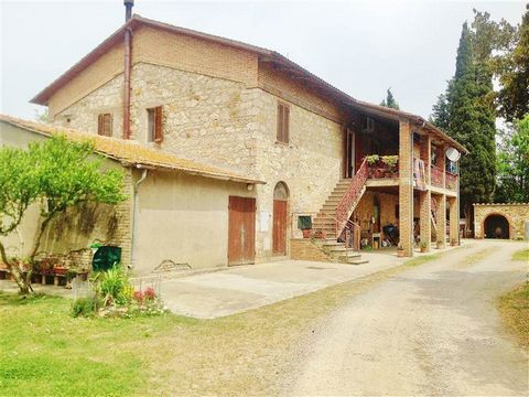 CIVITELLA PAGANICO (GR) surroundings : Farm of about 25 hectares with: * 4 hectares of mainly Sangivese vines bred by spurred cordon and guyot on rows all in the Montecucco docg appellation area ; * 5000 square metres of olive grove in production ; *...