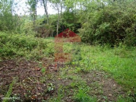 For sale Land with 3850m2 in Valdreu, Vila Verde! Located in agricultural area; Plan; By the brook; Excellent sun exposure! We take care of your home loan, without costs or bureaucracies. INOVA Imobiliária is a credit intermediary authorised by Banco...