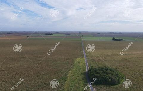 Locatie: Field gelegen in Rosario, Santa Fe. Bezienswaardigheden: Rosario 51.7 Km B As 288 km   Bodemkenmerken: Rotatie-index 1,8 gewassen x ha (aantal gewassen x jaar). • Diversiteit: meer dan 6 gewassen in de rotaties (erwten, tarwe, gerst, banksch...