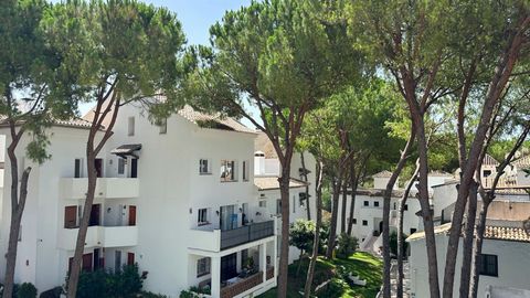 Lovely Apartment available for short and long term rental next to aloha college and close to Aloha Golf courses. 2 bedroom apartment on the first floor without elevator in the residential complex Los Pinos de Aloha in Nueva Andalucía. The apartment c...