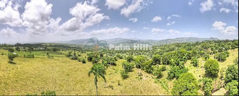 Frente por un lado al majestuoso Monte Isabel, el paisaje se convierte en montañas panorámicas y vistas verdes de los valles en el otro lado de la propiedad. Una composición de una topografía mixta plana y montañosa con una pequeña laguna a poca dist...