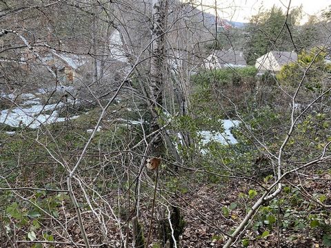 In the heart of the Massif du Sancy, in the town of La Bourboule, seize a great real estate opportunity with a plot of 479m2 to realize your dream by building a house project. As for the selling price, the amount offered is 15,200 euros. Your Real Es...