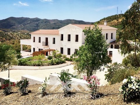A fantastic country residence, now a Boutique B&B, set in the unspoilt countryside of Canillas de Aceituno. This property is an impressive large country house, ideally suited as a family home and commercial purposes such as a yoga centre, a small hot...