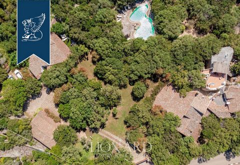 This prestigious resort with a pool is for sale a few minutes from Costa Smeralda's crystal blue sea and just five minutes from Porto Rotondo's town centre. This splendid property is surrounded by a 1-hectare richly-planted garden, home to ...