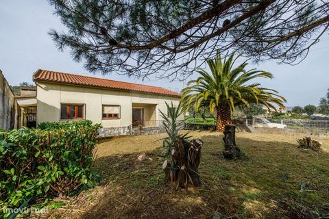 House in Porto de Mós For Sale Ground floor/ T3/ Garage/Cabeça Veada/ Porto de Mós This property is a three-bedroom single-storey villa, with ample features and several functional spaces. It has a bathroom with shower and bathtub, with window for ven...