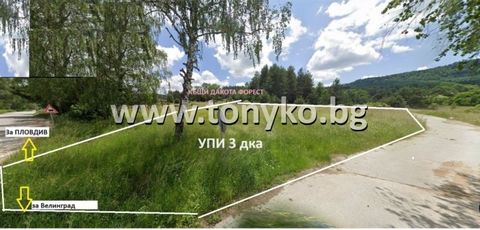 Ref. 621325; 'Toniko properties' for sale two neighboring zoned plots with a total area of 5759 sq.m. in Tsigov Chark, area 'Straight Road', 1500 m from the fork to Dospat. There is a monument in front of the field. Property ... has an area of 3143 s...