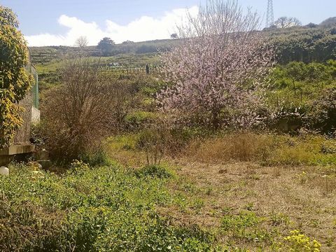 Terreno rústico con un total de 2.140 m2, ubicado a pie de carretera en el Sauzal, con entrada directa para maquinaria y vehículos. El terreno es ideal para la producción agrícola de verduras y árboles frutales. Su ubicación tiene excelente comunicac...