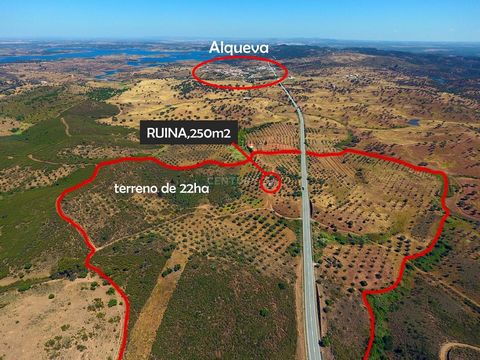 Land located in Alqueva in the municipality of Portel. Land with 22ha of arable cultivation, olive grove, eucalyptus, cork oaks, some fruit trees and with an agricultural dependence, a ruin of 250m2 of housing, it also has 3 wells. Book your visit no...