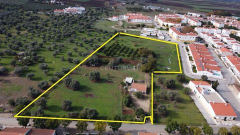 2 Hectares of Land for subdivision, in SERPA, 65 Homes in 45 Lots, EXCELLENT LOCATION Project APPROVED to be initiated and developed. The best URBAN Land for a new Urbanization of Houses and Apartments in the heart of Vila de Serpa. Land Area - 19777...