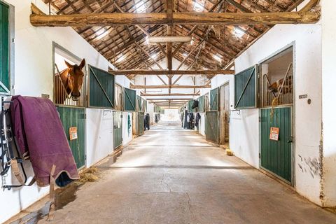 Quinta da Saudade with about 20ha located near Canha (Montijo), of which 5250m2 are urban. A property focused and organized for the passion that is the horse. In this property you will find all the conditions to develop your Equestrian activity in li...