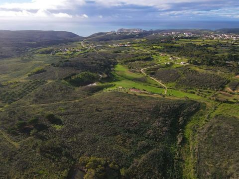 Rustic land located in Picão, Aljezur, 5 minutes drive from Arrifana beach, with a total area of 48 000 m2. The land has arable crops and easy access and is only 10 minutes from Aljezur. This plot is part of the Natural Park of Southwest Alentejo and...