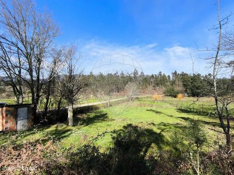 Rustic land with 1000 m2, in Corveira, parish of Campo de Besteiros, in the municipality of Tondela. Great investment for new farmers. The land is flat and has a well, a small shed, good access and sun exposure.  