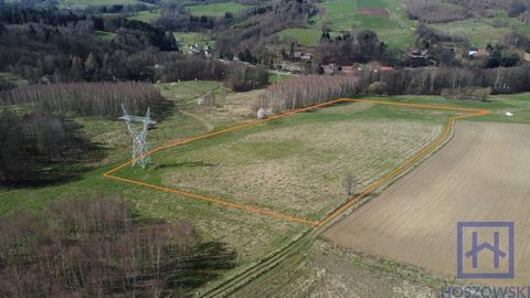 . Miłoszów (Leśna commune) . agricultural plot . area 23400m2 . designation in the Local Development Plan - agricultural areas. Agricultural plot for sale, located in the village of Miłoszów (Leśna Commune), with an area of 23400m2. The plot is charm...