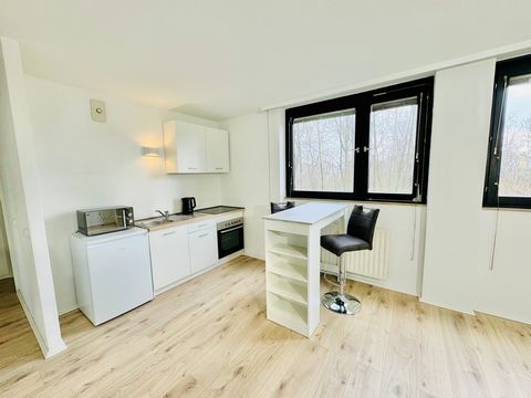Modern, fully furnished 1-room apartment, recently renovated and only a few minutes' walk from BASF. Enjoy the picturesque view of the Trassenwald forest. The apartment has a living and sleeping area with bed, bedside table, closet and TV as well as ...