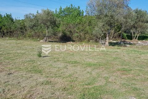 Istria, Rovinjsko selo, in the area of Rovinjsko selo, agricultural land covering a total area of 6,599m2 is for sale. The land is located one kilometer southwest of the settlement, accessible via a dirt road. The land consists of several parcels of ...