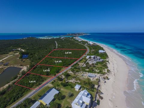 If you are looking for a secluded lot on a private island , with views of the ocean on the Atlantic side and Caribbean side, then Scotland Cay is for you. This island is perfect if you love to jog , take nature walks / runs, swim or go fishing , a pl...