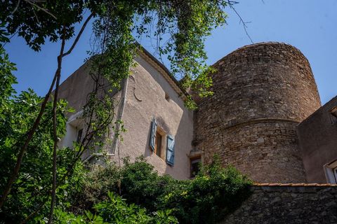 Let this charming winemaker's house seduce you. Situated at a quiet location in the lovely village of Neffies near Pezenas, its spacious layout is full of surprises. Also, many original details have been preserved, like tiled floors, stairs, doors, e...