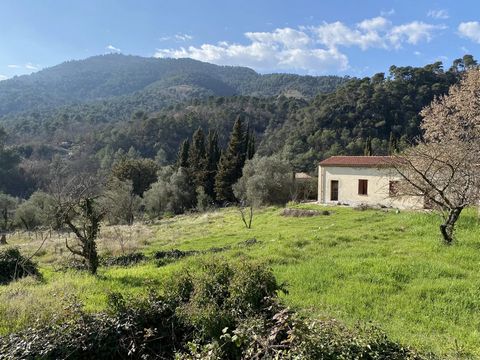 This peaceful property located on a gently sloping plot of land of 5,000 sqm. in a protected natural area consists of 2 houses in need of renovation offering pleasant views of the surrounding hills: A main house of approximately 125 sqm. built in the...