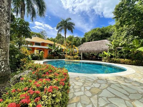 Belle propriété commerciale tropicale à vendre à quelques pas de la belle plage vierge de Perla Marina, située entre les deux villes de Cabarete et Sosua sur la côte nord de la République dominicaine. Cette étonnante propriété se compose de deux bâti...