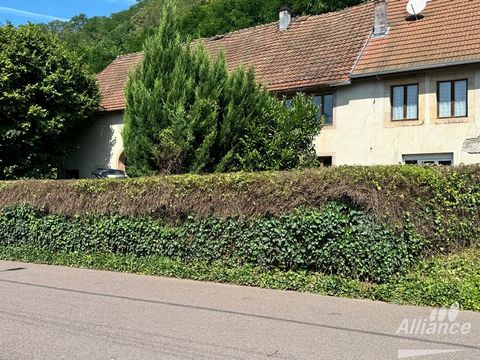 Ideale investeerder, gelegen in de stad Ronchamp, deze boerderij kan een bewoonbaar potentieel bieden op 2 niveaus van ongeveer 200 m2 en 2 bijgebouwen. Een deel van het dak is vernieuwd, de zolder geïsoleerd. Renovatiewerkzaamheden zijn te verwachte...