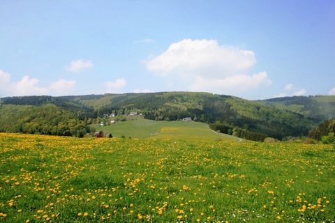 Verbringen Sie Ihren Urlaub im schönen und beliebten Urlaubsort Schwalefeld in der Region Sauerland. Das typisch sauerländische und hügelige Dorf ist umgeben von Natur und bietet eine große Auswahl an nahegelegenen Sehenswürdigkeiten. Hier am Ortsran...