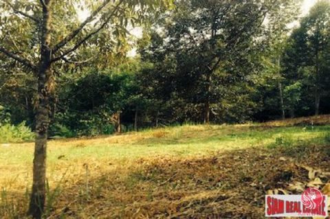 This is a large land plot for sale in Phang Nga. Located about 35 minutes Northeast from Phuket International Airport you take a quiet road to a private access to find this beautiful piece of land. The land beings with a flat area with mixed type of ...