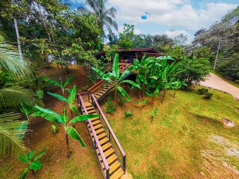 Experience the perfect blend of seclusion and convenience with this stunning 3-bedroom property located in the heart of Ojochal. Nestled on a private 3-acre estate, this home offers tranquil living surrounded by lush jungle, a flowing river, and abun...