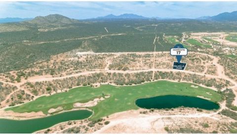 Additional Description Palmilla Park Lot 17 San Jose Corridor Palmilla Park is designed to highlight the expert use of outdoor spaces the 35 large lots surround multi use fields cycling and hiking trails. Each homesite takes advantage of the native d...