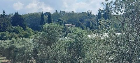 Come and discover this rare property for sale in the Alpilles in the municipality of Mouriès. This property consists of two dwellings to be renovated with a total area of approximately 380 m² that can be combined, on a plot of nearly 90,000 m², plant...