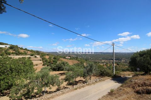 Buona opportunità di affari! Questo terreno, di natura rustica, misura 8120 mq e presenta aree pianeggianti. Con elettricità e accesso molto facile, ha la presenza di alcuni alberi da frutto, come fichi, olivi e altri. Con vista aperta, dista pochi m...