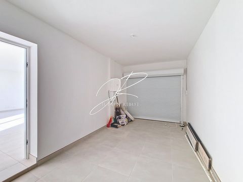 photo no. 8