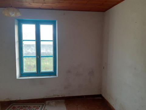 photo no. 5