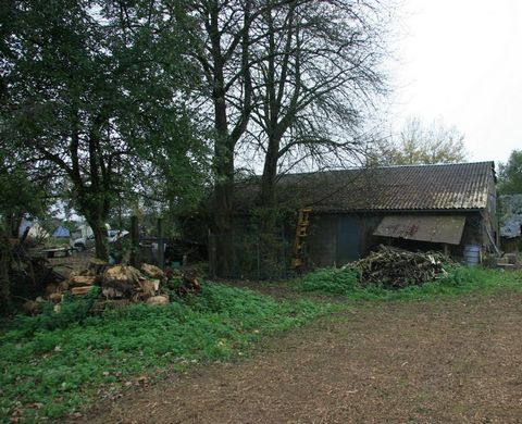 photo no. 5