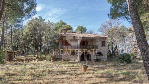 The three-floor country house (approx. 293 sqm) offers a welcoming and warm ambiance. Immersed in a 1,660 sqm garden, this charming home is located in a hilly position just a few kilometres from Campello sul Clitunno, an area that offers breathtaking...