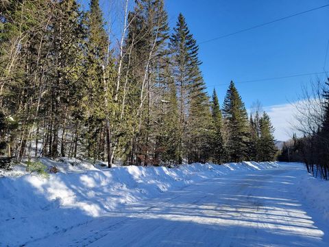 This beautiful and large wooded lot with mature trees could be your private domain or your farmhouse. It is located in front of a municipal street with electricity and snowplowed by the municipality in the heart of the village of Lantier and a few mi...