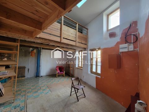 photo no. 6
