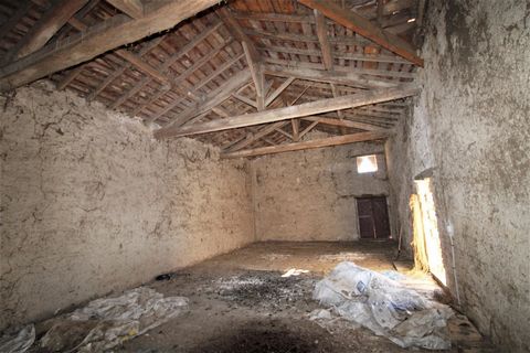 photo no. 4