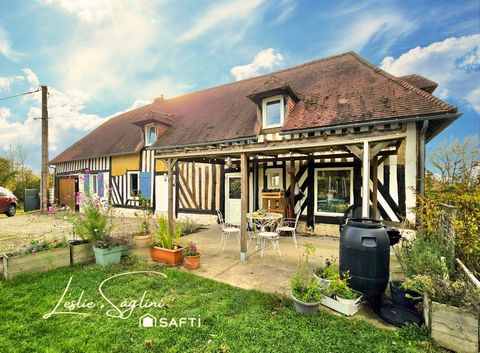 Charmante augeronne avec très belle vue