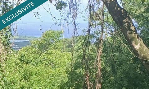 TERRAIN RARE A VISITER