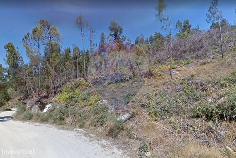 Land in forest area for sale, with 7,650 m2 of total area. This land has a magnificent view, with good access and is very close to a residential area and close to the national road 101-5, 8 kilometers from the center of Marco de Canaveses.
